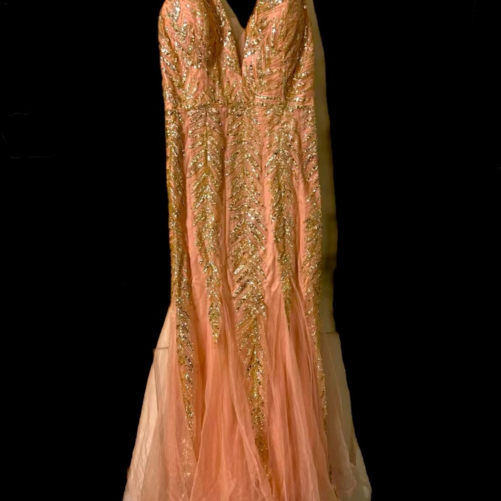 Brand new prom dress it has never been worn and kept in good conditions.